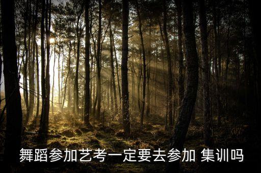  舞蹈参加艺考一定要去参加 集训吗