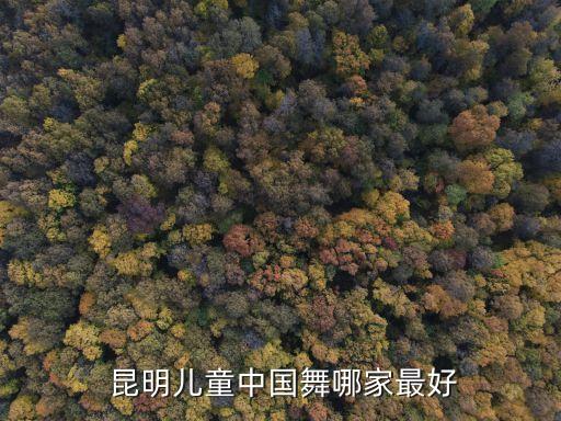  昆明儿童中国舞哪家最好