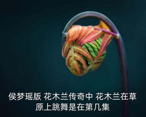 侯梦瑶版 花木兰传奇中 花木兰在草原上跳舞是在第几集