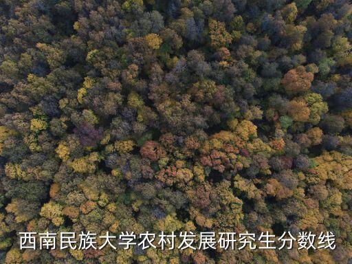 西南民大舞蹈学复试,2023年西南民大复试线