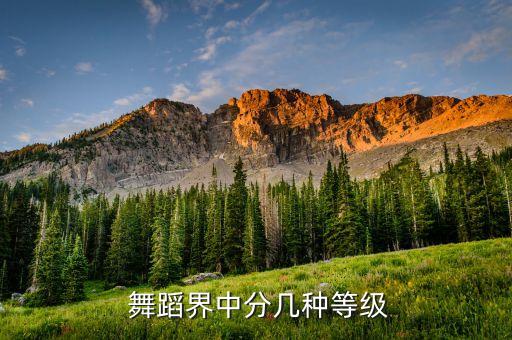 二级民族舞蹈考级视频,中国民族舞蹈考级二级