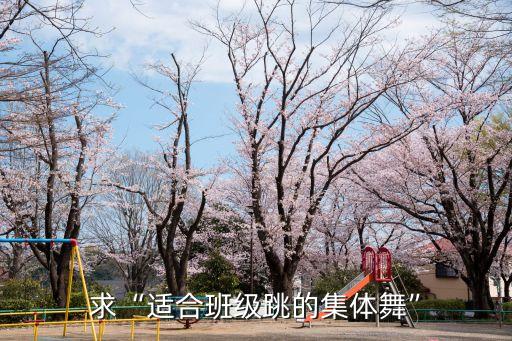 求“适合班级跳的集体舞”