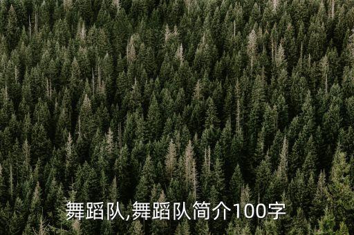 钱哪舞蹈队,舞蹈队简介100字