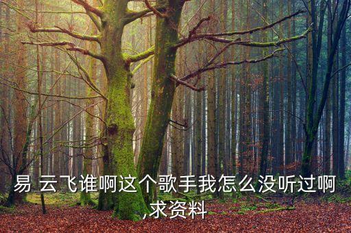 易 云飞谁啊这个歌手我怎么没听过啊,求资料