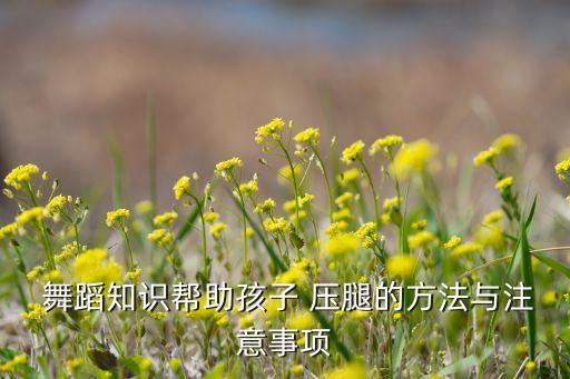  舞蹈知识帮助孩子 压腿的方法与注意事项