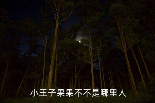  小王子果果不不是哪里人
