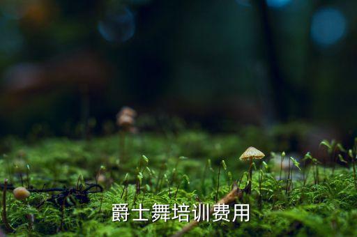 武汉jc舞蹈爵士教练班,国家认可的爵士舞蹈教练资格证书