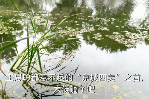 王思聪都惹不起的“京城四美”之首,太低调了吧