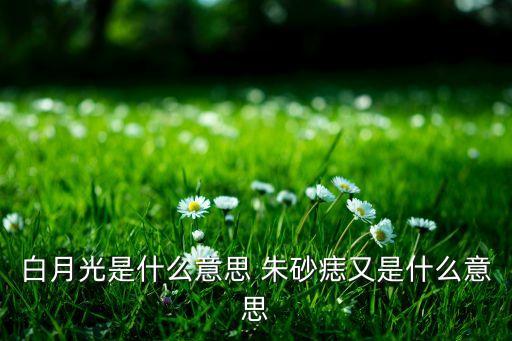 朱砂痣舞蹈分解,白月光与朱砂痣的舞蹈完整版