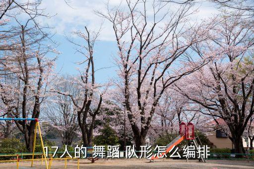 17人的 舞蹈 队形怎么编排