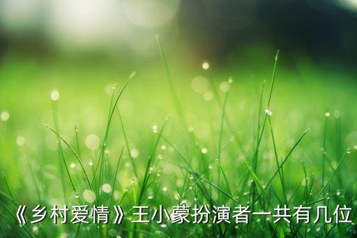 《乡村爱情》王小蒙扮演者一共有几位