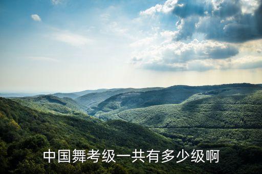 中国舞考级一共有多少级啊
