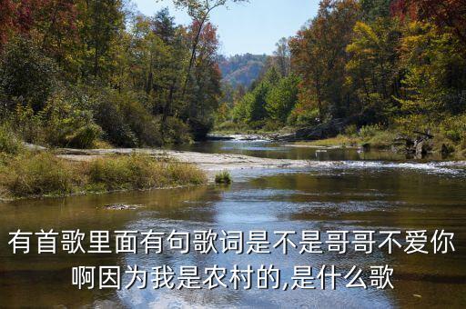 有首歌里面有句歌词是不是哥哥不爱你啊因为我是农村的,是什么歌