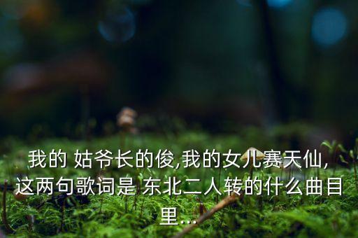 我的 姑爷长的俊,我的女儿赛天仙,这两句歌词是 东北二人转的什么曲目里...