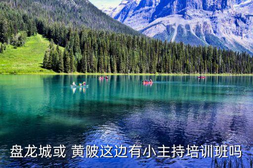 盘龙城或 黄陂这边有小主持培训班吗