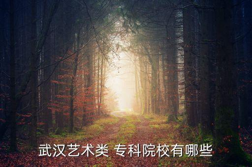 哪些大学专科有舞蹈,临沂大学专科舞蹈分数线