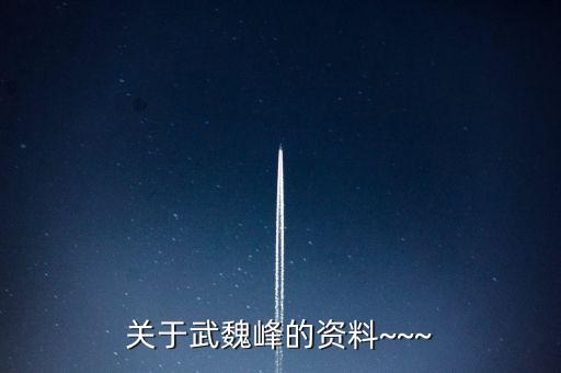 关于武魏峰的资料~~~