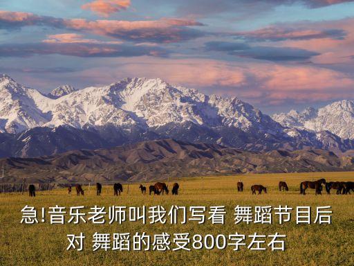 急!音乐老师叫我们写看 舞蹈节目后对 舞蹈的感受800字左右