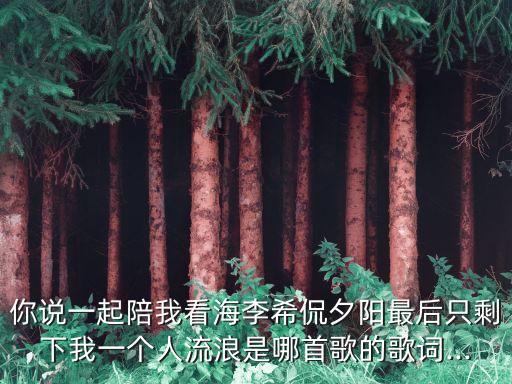 你说一起陪我看海李希侃夕阳最后只剩下我一个人流浪是哪首歌的歌词...