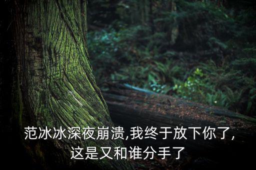 武媚娘范冰冰舞蹈视频,范冰冰版武媚娘第一胎是谁的