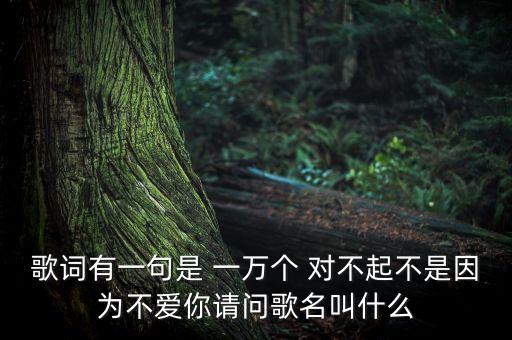 歌词有一句是 一万个 对不起不是因为不爱你请问歌名叫什么