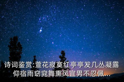 萱草花舞蹈背面教学