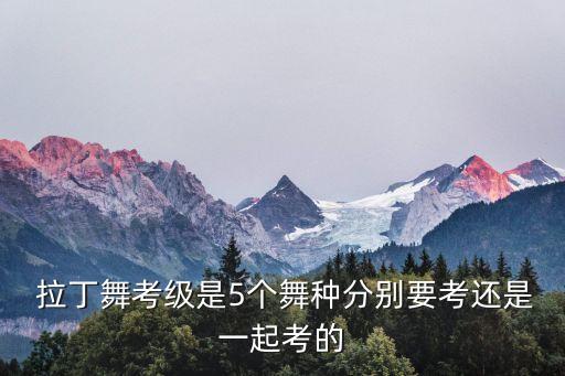  拉丁舞考级是5个舞种分别要考还是一起考的