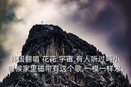韩国翻唱 花花 宇宙,有人听过吗小时候家里磁带有这个歌,一模一样求...
