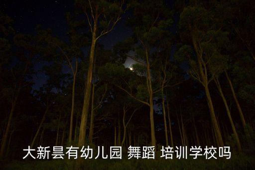 大新昙有幼儿园 舞蹈 培训学校吗