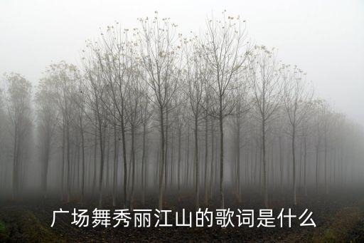  广场舞秀丽江山的歌词是什么