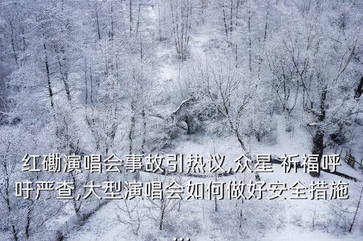 红磡演唱会事故引热议,众星 祈福呼吁严查,大型演唱会如何做好安全措施...