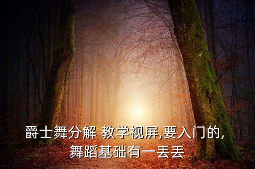 爵士舞分解 教学视屏,要入门的, 舞蹈基础有一丢丢