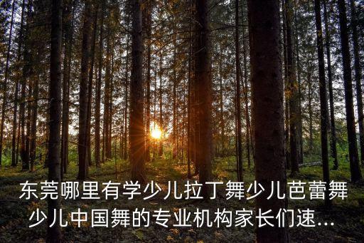  东莞哪里有学少儿拉丁舞少儿芭蕾舞少儿中国舞的专业机构家长们速...