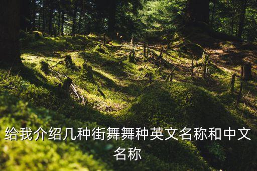 给我介绍几种街舞舞种英文名称和中文名称