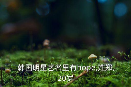  韩国明星艺名里有hope,姓郑,20岁