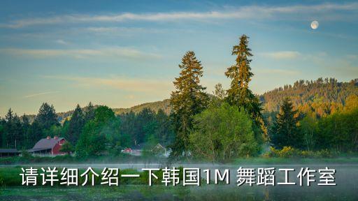 请详细介绍一下韩国1M 舞蹈工作室