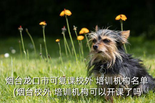 木兰舞蹈培训,木兰志儿童舞蹈