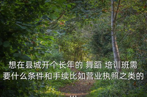 想在县城开个长年的 舞蹈 培训班需要什么条件和手续比如营业执照之类的...