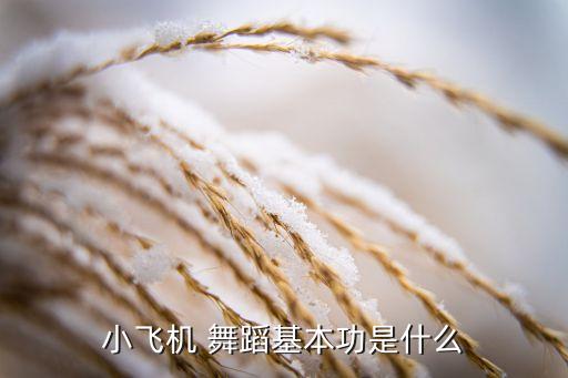 小飞机 舞蹈基本功是什么