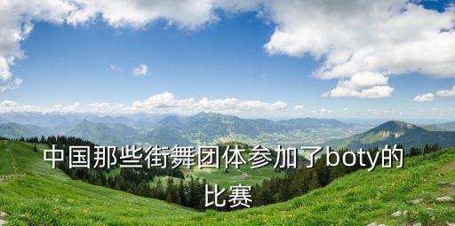 中国那些街舞团体参加了boty的 比赛
