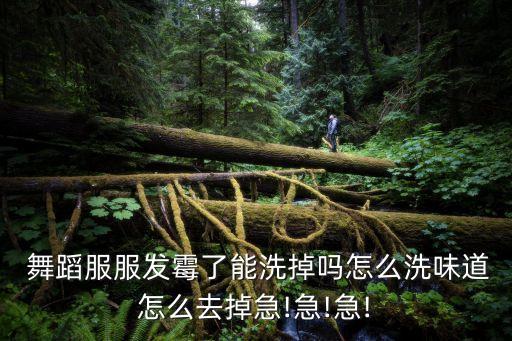  舞蹈服服发霉了能洗掉吗怎么洗味道怎么去掉急!急!急!