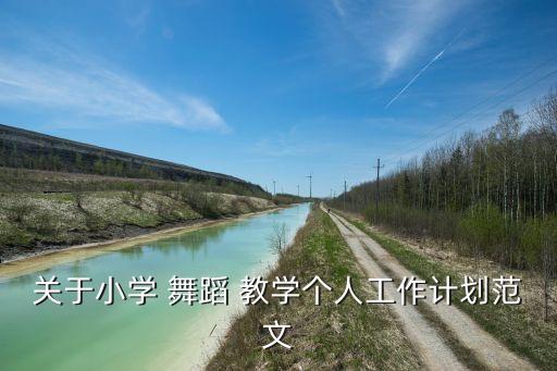 关于小学 舞蹈 教学个人工作计划范文