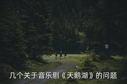 几个关于音乐剧《天鹅湖》的问题
