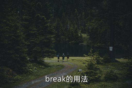  break的用法