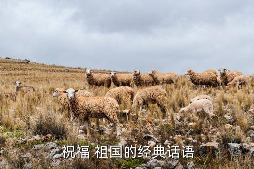民族舞蹈祝福祖国2015,祝福祖国民族舞蹈教学视频