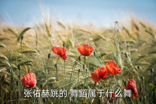 张佑赫跳的 舞蹈属于什么舞
