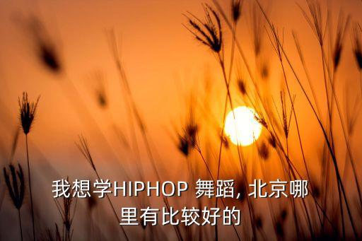 北京最好舞蹈工作室,乌鲁木齐最好的舞蹈工作室