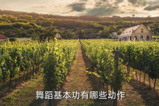  舞蹈基本功有哪些动作