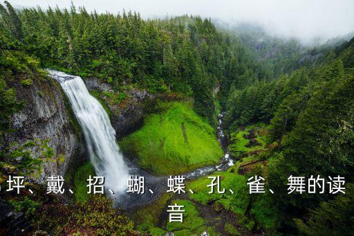 蝶衣舞蹈
