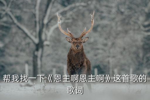 帮我找一下《恩主啊恩主啊》这首歌的歌词